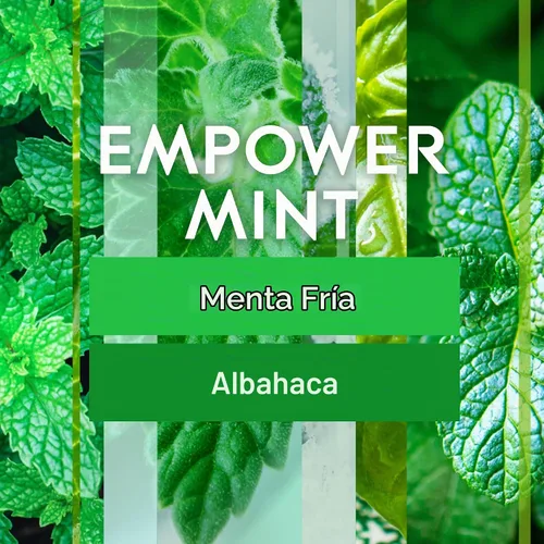 Vista 2 de Glade Recambio automático en aerosol, ambientador para el hogar y el baño, Empower Mint, 6.2 onzas