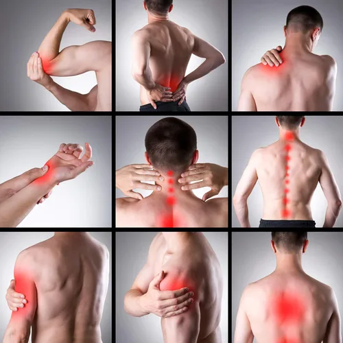 Vista 6 de Rodillo de masaje muscular para atletas y calambres calambres, alivia el dolor muscular, rodillo muscular de 18 pulgadas para aliviar, terapia