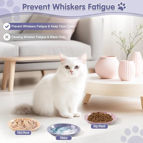 Vista 3 de Paquete de 6 cuencos de cerámica para gatos, cuenco de comida para gatos, juego de cuencos para gatos anti-fatiga de bigotes, platos anchos y poco