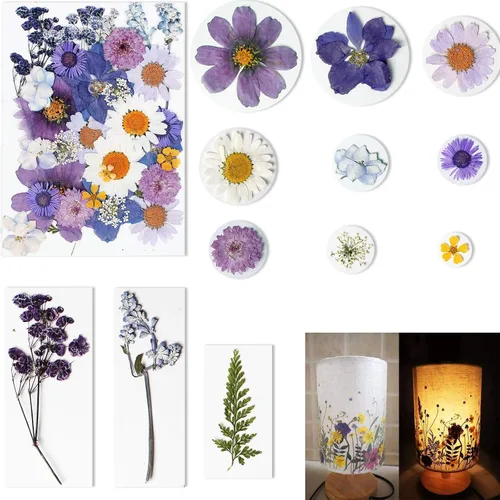 Vista 3 de BIHRTC 100 hojas secas prensadas naturales, hojas secas prensadas, girasoles, crisantemo, margaritas para manualidades, resina, joyería, fabricación