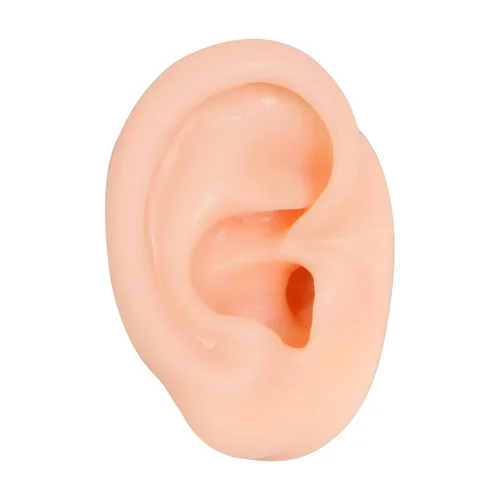 Vista 15 de Modelo de cejas de silicona, modelo de piezas del cuerpo de práctica de piercing, modelo de exhibición de cejas para práctica de piercing