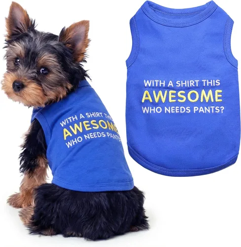 Vista 26 de Camiseta para perro Parisian Pet con palabras bordadas "Es mi cumpleaños" - Camiseta sin mangas para cumpleaños de perro - Chaleco ligero