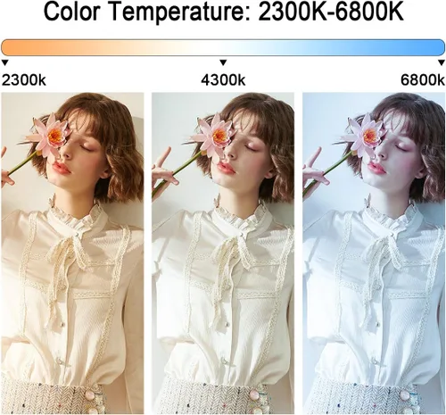 Vista 3 de GVM - Luz de video LED de 480 con trípode, iluminación de video LED regulable de 2300 K-6800 K con control de aplicación, luz continua de fotografía
