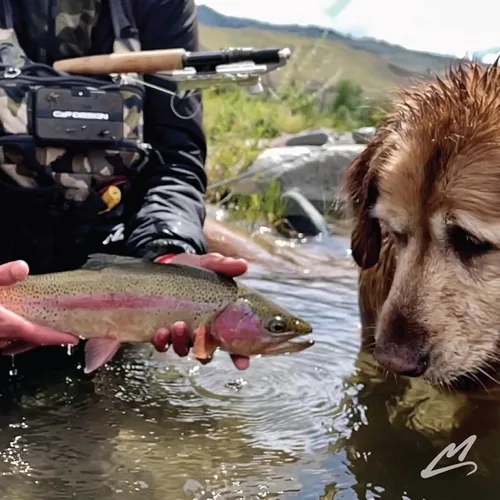 Vista 3 de MAVRK USA Fly Fishing Rod Euro Nymph & Dry Fly Rods 2 in 1 Convertible Design Lightweight, Extra Sensitive, Precision Action, Freshwater Trout