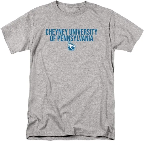 Vista 100 de Colección de camisetas para adultos apiladas colegiales 1 Universidad Estatal de Albany