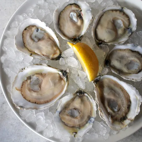 Vista 7 de Máquina Shucker de ostras, kit de shucking de almejas de ostras