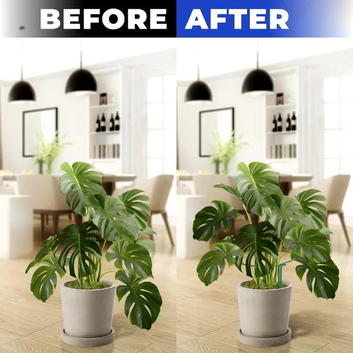 Vista 5 de Estacas altas de soporte para plantas para interiores y exteriores, jaulas y soportes de peonía, anillo de jaula para plantas para flores en maceta