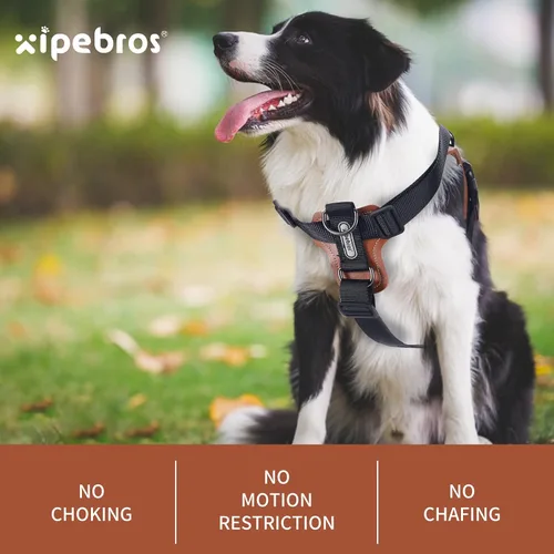 Vista 5 de Arnés para perro, arnés para perro sin tirones con almohadillas lesthe, ideal para pasear y entrenar perros. Arnés para perro fácil de caminar