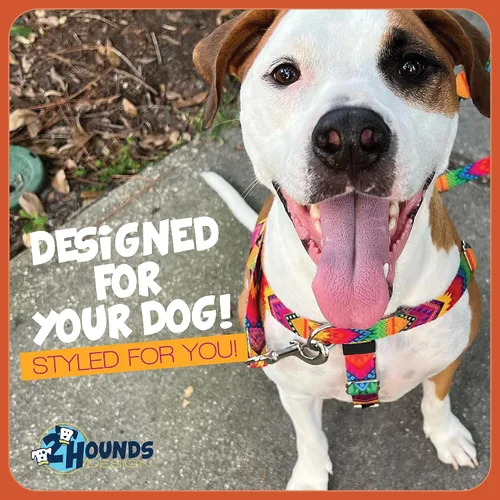 Vista 7 de 2 Hounds Design Freedom - Arnés para perro sin tirones, arnés ajustable, fácil de caminar y control cómodo, se adapta a perros pequeños, medianos