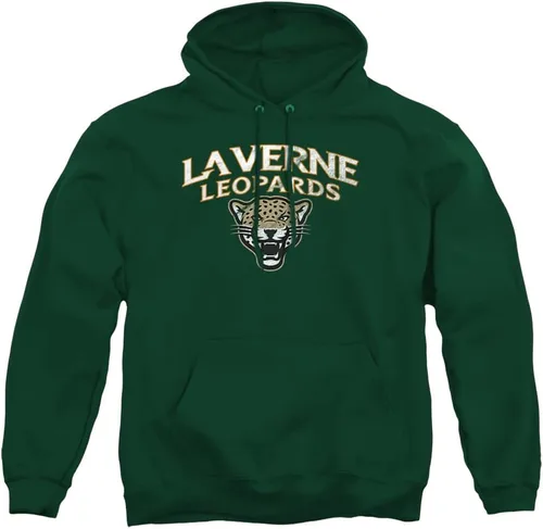 Vista 88 de Distressed College Primary Logo Adult Pullover Hoodie Collection 1 Universidad Estatal de Albany