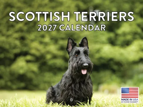 Vista 110 de Calendario mensual de pared Airedale Terrier Dog 2027