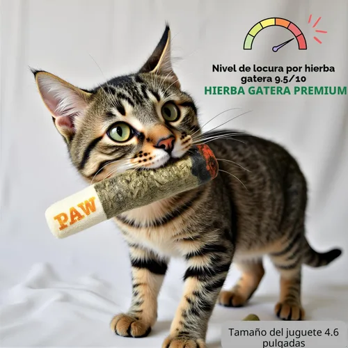 Vista 2 de Nestpark Juguete para gatos con hierba gatera Doobie - Pateador de gatitos crujiente con hierba gatera extra fuerte - Juguete interactivo divertido