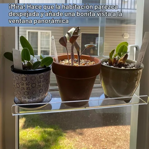 Vista 7 de Paquete de 2 cajas de ventana de acrílico de 12 pulgadas, estantes para plantas, con extensor de alféizar de ventana con ventosa, para suculentas