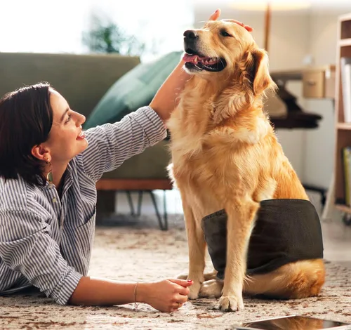 Vista 5 de wegreeco Pañales para perros pequeños machos, bandas reutilizables para el vientre para perros machos, pañales lavables para cachorros machos