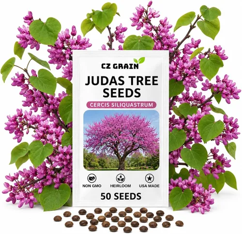Vista 16 de CZ GRAIN Semillas de árboles exóticos para plantar (Baobab - 5 semillas)