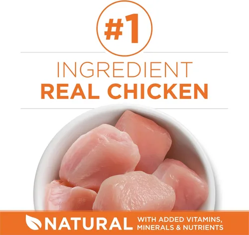 Vista 2 de Purina ONE Alto Contenido de Proteínas, Peso Saludable Más Peso Ideal Con Pollo Comida Seca Para Gatos - Bolsa de 3.5 lb