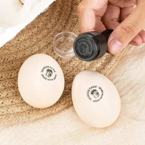 Vista 4 de Sellos de huevos personalizados para huevos frescos, sellos de huevos personalizados para pollo de granja, 24 estilos disponibles con texto y caja