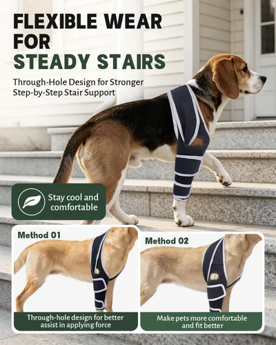 Vista 4 de Soporte de pierna delantera para perro para pierna izquierda o derecha, manga de soporte de codo canino con neopreno SBR transpirable y soporte