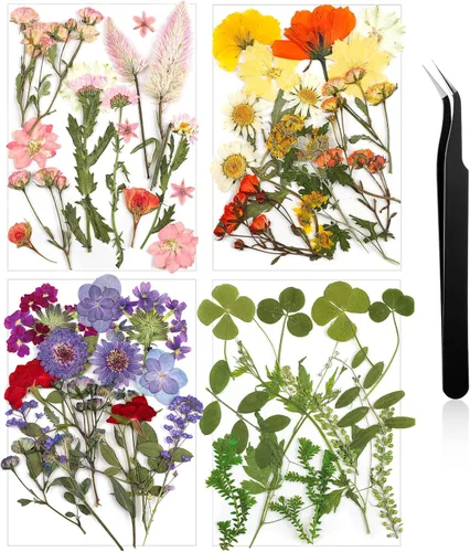Vista 15 de Nuanchu Flores secas prensadas negras para manualidades, flores secas góticas, flores silvestres prensadas naturales a granel con pinzas para molde