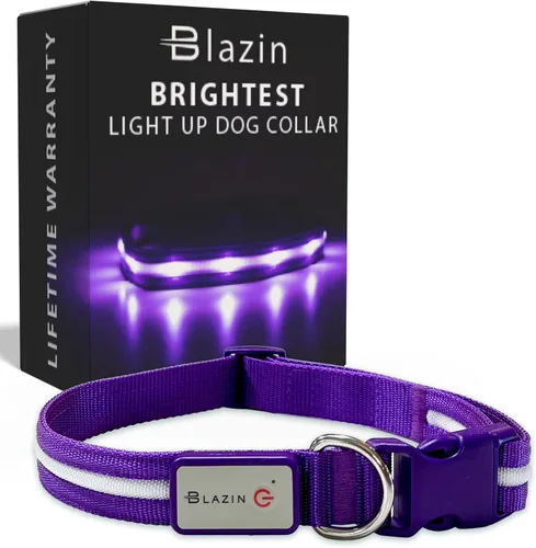 Vista 16 de Blazin - Collares luminosos para perros, collar led original para perros con 1,000 pies de visibilidad, recargable mediante USB e impermeable
