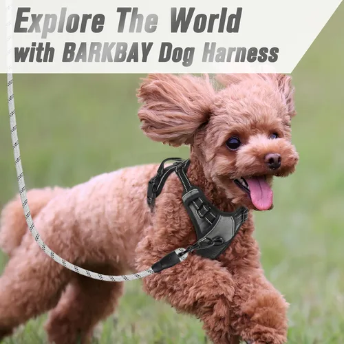 Vista 217 de BARKBAY - Arnés para perro sin tirones con clip frontal, material resistente y reflectante, asa de fácil control para pasear perros grandes