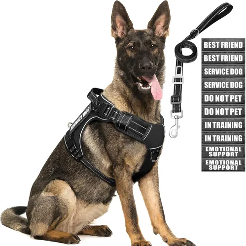 Vista 20 de Juego de arnés táctico y correa para perro de tamaño pequeño, chaleco resistente sin tirones para perro de servicio y 10 parches con cinturón