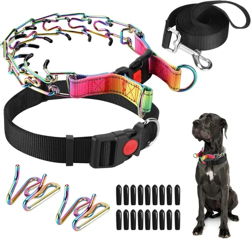 Vista 25 de Collar de entrenamiento de puntas con puntas cómodas y hebilla de cierre rápido – Collar de pellizco para perro con cubierta de nailon