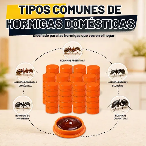 Vista 3 de Paquete de 90 cebos de gel para hormigas de larga duración, eficaces para interiores y exteriores, fórmula de gel para control de azúcar, carpintero
