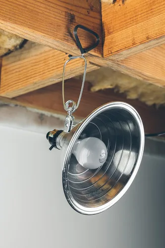 Vista 7 de Lámpara de abrazadera Woods con reflector de aluminio; 150W; listado UL; cable de 6 pies