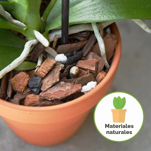 Vista 3 de Perfect Plants - Mezcla natural para macetas de orquídeas, 4 cuartos de galón, mezclada a mano en pequeños lotes, ideal para Phalaenopsis de todo