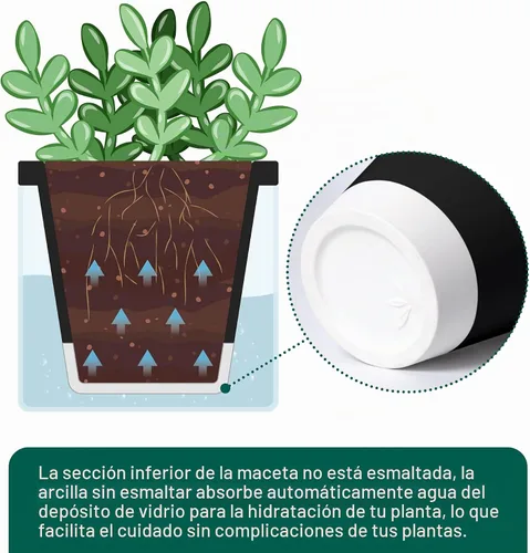 Vista 6 de D'vine Dev - Maceta de terracota negra con riego automático, 4 pulgadas, 37-X-A-3