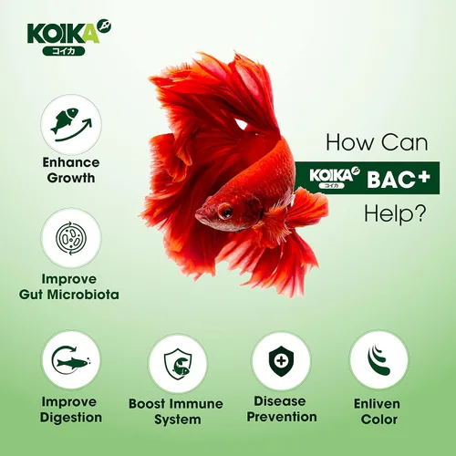 Vista 3 de KOIKA BAC+ Probióticos para acuarios, estimulantes de la inmunidad, resistencia a enfermedades y mejoran el sistema digestivo (BAC+,3.6 fl oz)