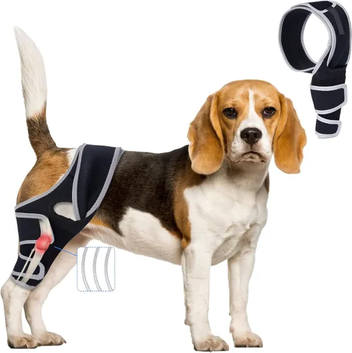 Vista 10 de Rodillera para perros con ACL desgarrado, soportes ajustables para patas de perro, soporte de soporte para patas traseras o delanteras, soporte