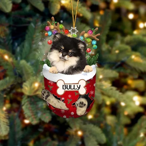 Vista 160 de IZI POD Affenpinscher Adorno de Navidad personalizado para perro, adorno de bolsillo de nieve para perro para árbol de Navidad, adorno acrílico