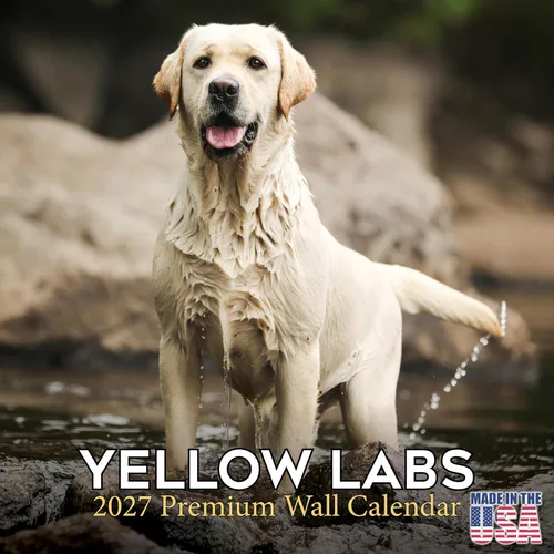 Vista 65 de Calendario de Lebrel Afgano 2025 2026, calendario mensual de pared de raza canina, 12" x 18" abierto, papel grueso sin traspaso, ideal para regalo