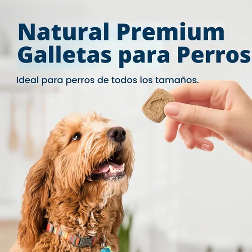 Vista 2 de Blue Buffalo Health Bars Galletas de calabaza y canela para perros
