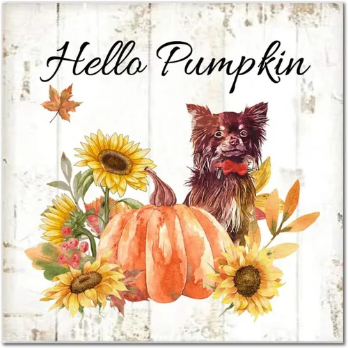 Vista 15 de Hello Pumpkin Boston Terrier Dog Wood Signs Pumpkin Farm Wall Plaque Gives Thanks Porch Sign Rustic Home Family Wall Decoration for Home Front Door