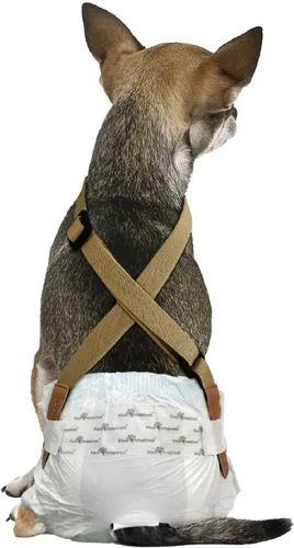 Vista 14 de Paw Inspired Tirantes de pañales para perros con cierres de velcro Tirantes elásticos ajustables para pañales desechables y lavables para mujeres