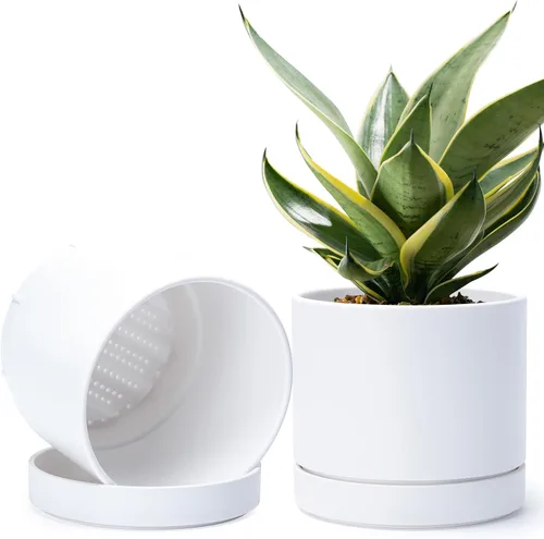 Vista 14 de Phoenix Vine 4 Inch Planter Pot with Drainage Hole & Saucer, Deep Water Catch Tray, Straight Cylindrical Round Pot for Plants, Olive, Pack of 1