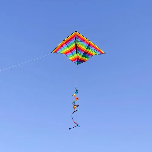 Vista 3 de In the Breeze Printed Delta Kites, Easy-Flying Single Line Kites for Kids & Adults