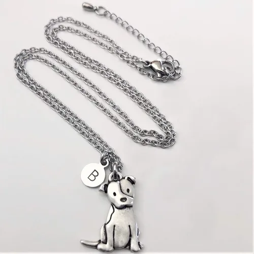 Vista 5 de Collar personalizado de Pitbull inicial y piedra natal opcional Memorial de Pitty Dog Regalo de Pit Bull