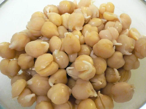 Vista 5 de Semillas de mezcla de proteínas de Peyton's para germinar microverdes, 8 onzas, marca "COOL BEANS n SPROUTS", un superalimento lleno