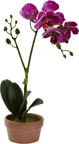 Vista 4 de Nearly Natural Orquídea Phalaenopsis con jarrón de arcilla (juego de 4)