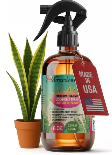 Vista 35 de GARDENERA Spray orgánico profesional de algas marinas para plantas AGLAONEMA – 8 oz – Rocío fertilizante de algas marinas y algas marinas totalmente