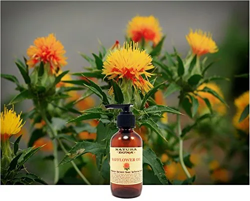 Vista 3 de Aceite de semilla de cártamo prensado en frío. Hidratante antienvejecimiento totalmente natural 100% puro; rico en ácido linoleico, Omega 3, 6. Uso