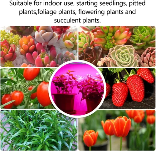 Vista 5 de Mosthink - Luces LED para crecimiento de plantas en interiores, tira de luces para plantas de cultivo de 20 W, temporizador de encendido y apagado