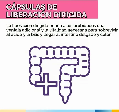 Vista 5 de Terranics Probióticos diarios para mujeres, 200 mil millones de 32 cepas probióticos para mujer, con arándano, prebióticos y enzimas, reequilibran