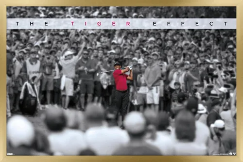 Vista 14 de Trends International Tiger Woods - Póster de pared con efecto tigre, 14.725 x 22.375 pulgadas, versión enmarcada de madera de granero Versión