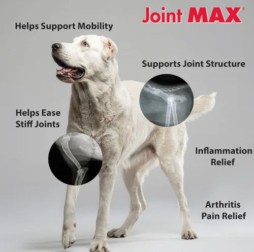 Vista 5 de Gránulos de triple fuerza HA para perros, glucosamina, condroitina, creatina, MSM y antioxidantes, suplemento de apoyo para cadera y articulaciones