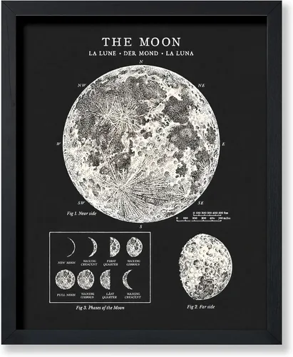 Vista 17 de Poster Master Póster esotérico de H. Butler - Arte de pared en blanco y negro, astronomía antigua y diagrama celestial, regalo para fanáticos